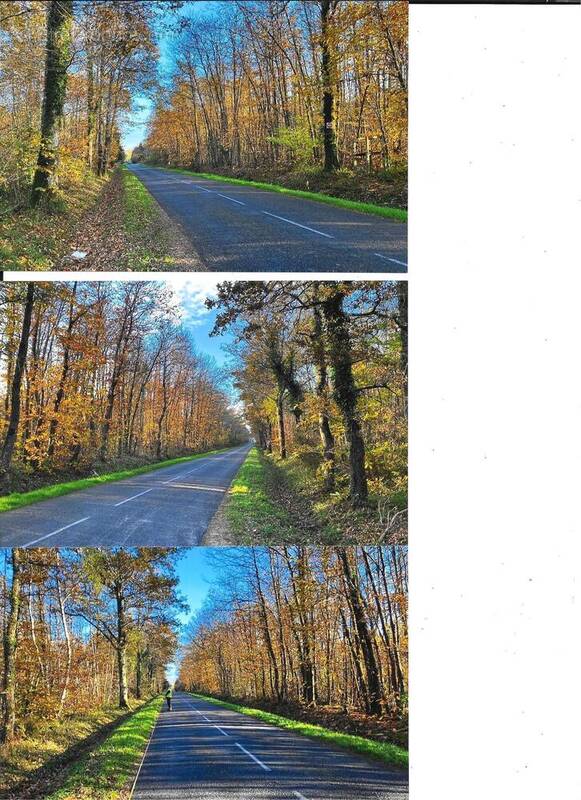 Photo 1 - Terrain à LANGEAIS