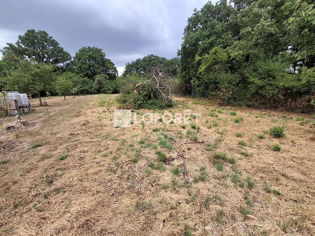 Terrain Manom 4203m2 - photo 6