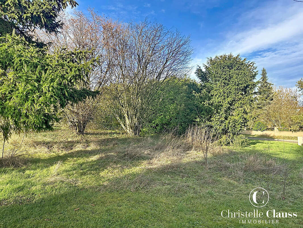 Terrain à SCHNERSHEIM