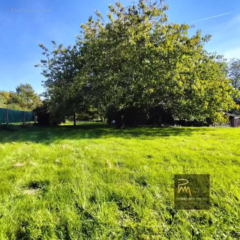 Maison à MONTREUIL-LE-HENRI