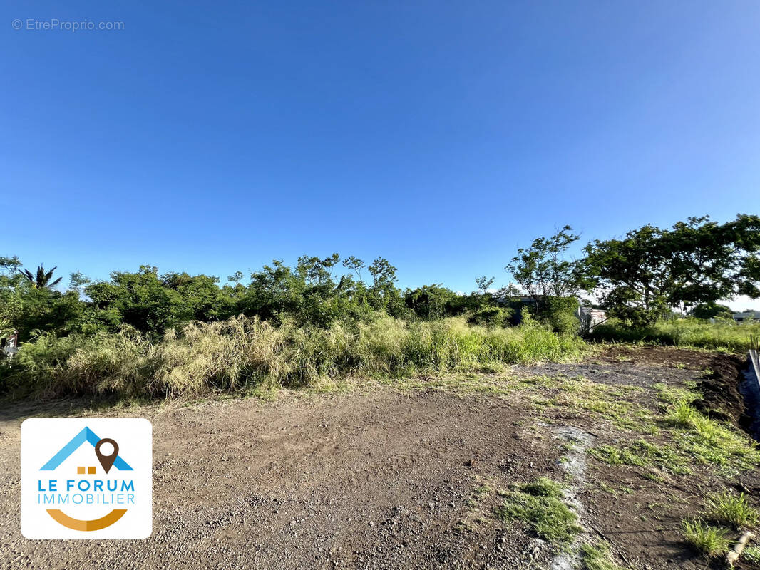 Terrain à SAINT-PIERRE