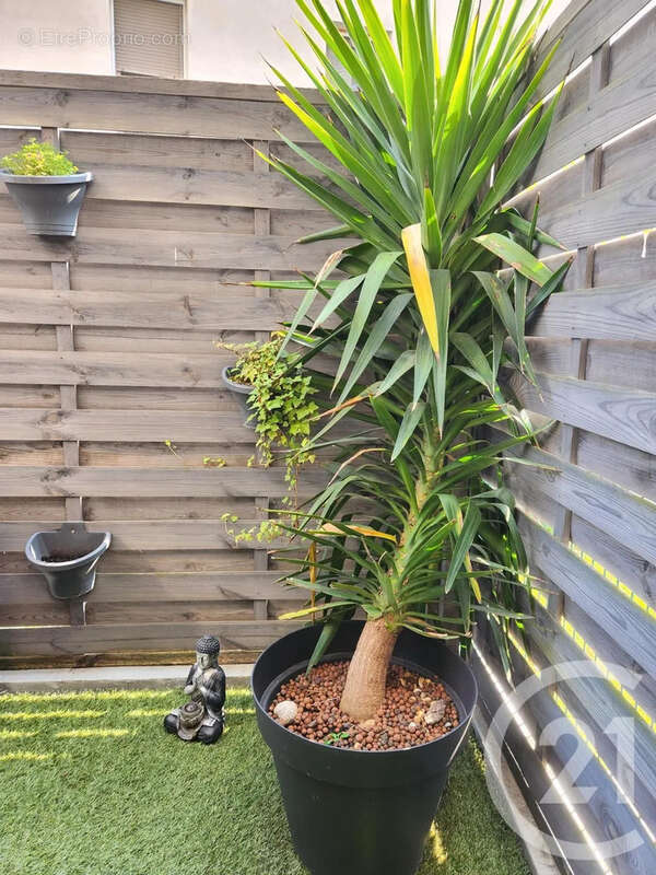 Appartement à VAULX-EN-VELIN