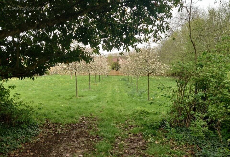 Terrain 567 m² à Elancourt  - photo 1