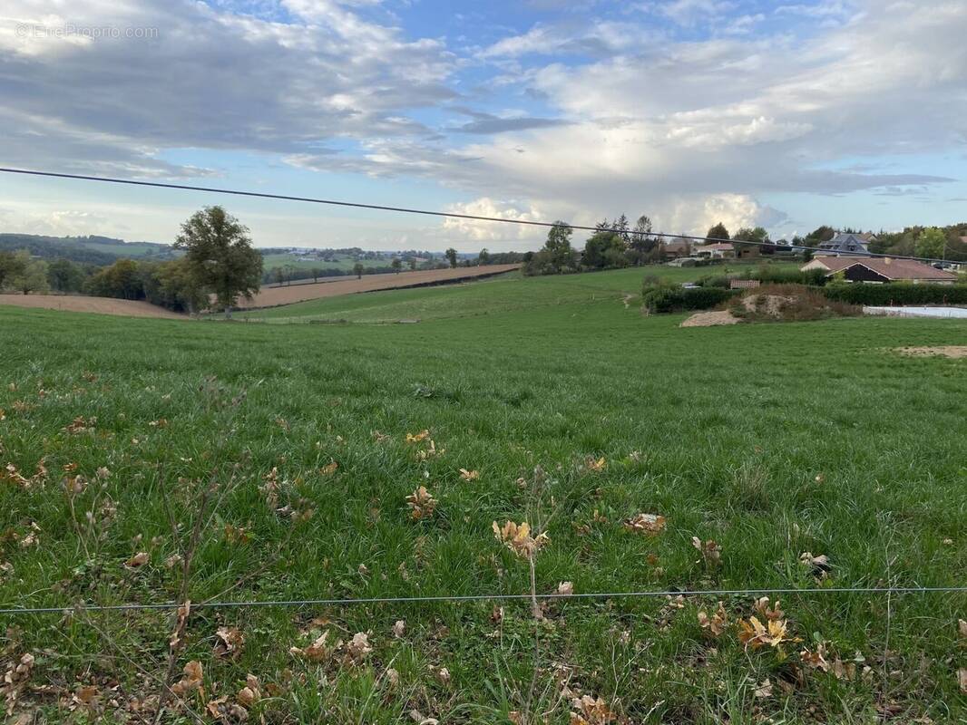 Terrain à ROANNES-SAINT-MARY