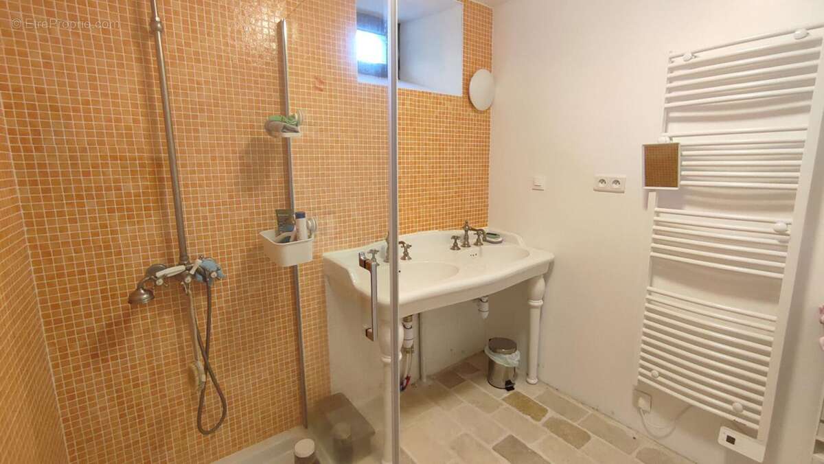 Belle maison Cantalienne Saint Amandin 15190 - photo 10