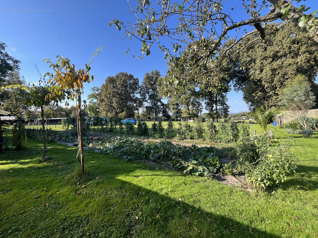 Terrain à SAINT-MARTIN
