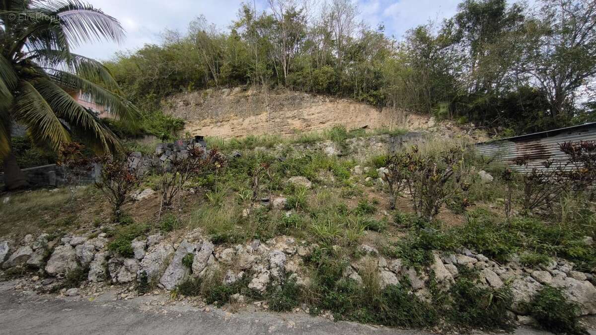 Terrain à LE GOSIER