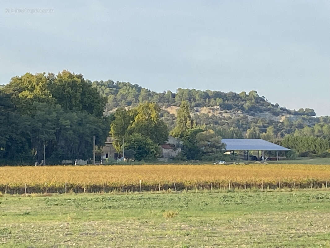 Maison à BOLLENE