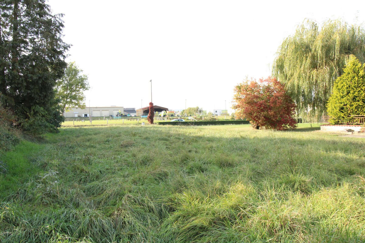 Terrain à SILLEGNY