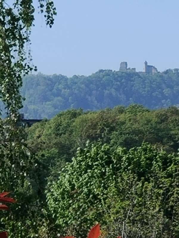 Maison à THONON-LES-BAINS