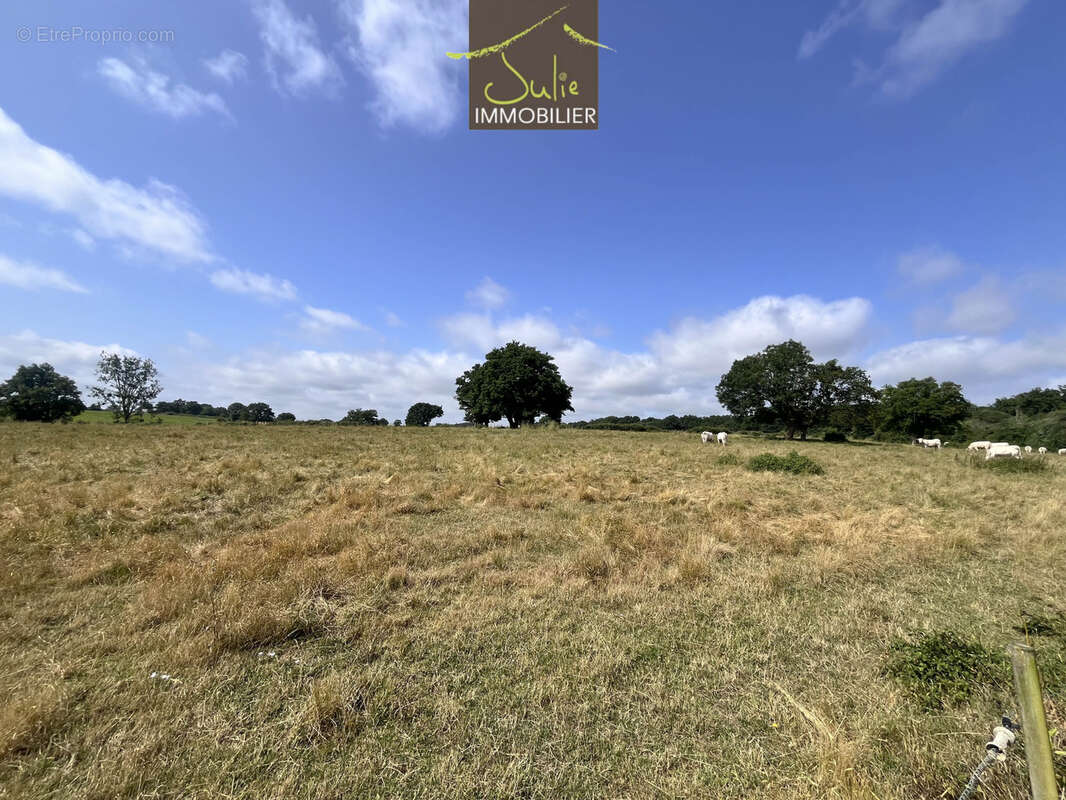 Terrain à BRESSUIRE