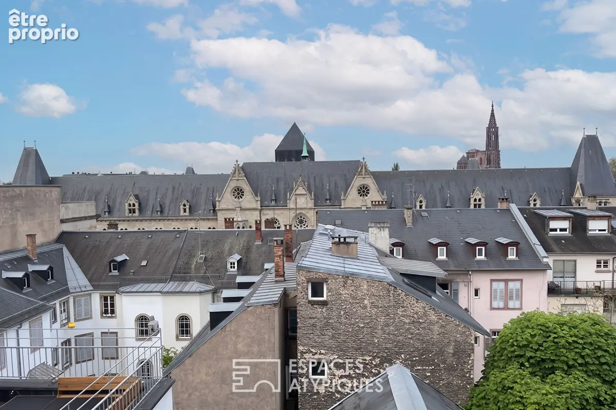 Duplex d'exception sous les toits avec vue Cathédrale - photo 4