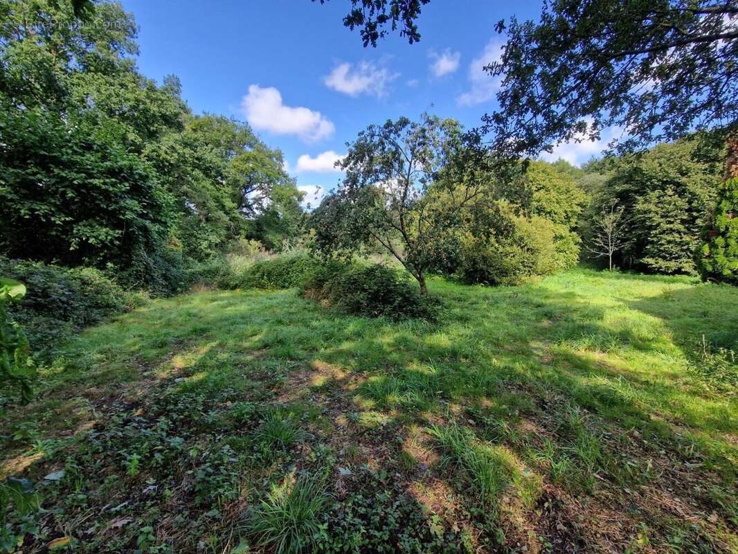 Photo 6 - Maison à MOISDON-LA-RIVIERE