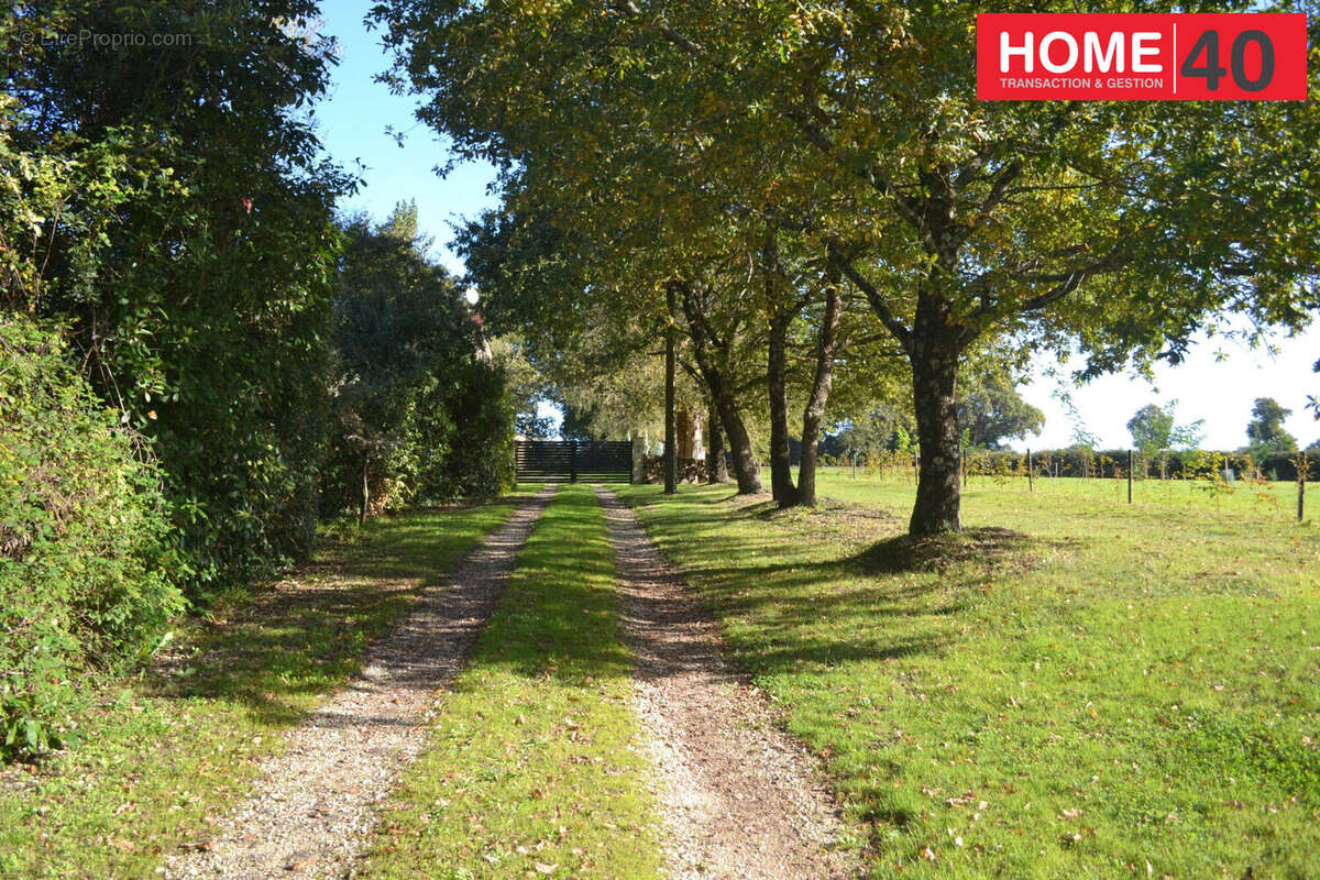 Commerce à LA BOISSIERE-DES-LANDES