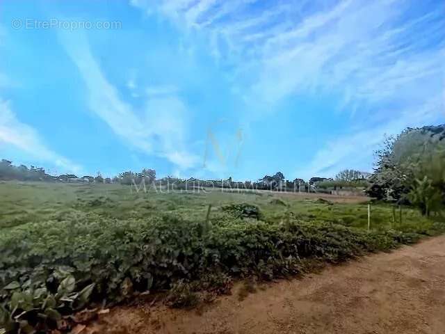 Terrain à LANSARGUES
