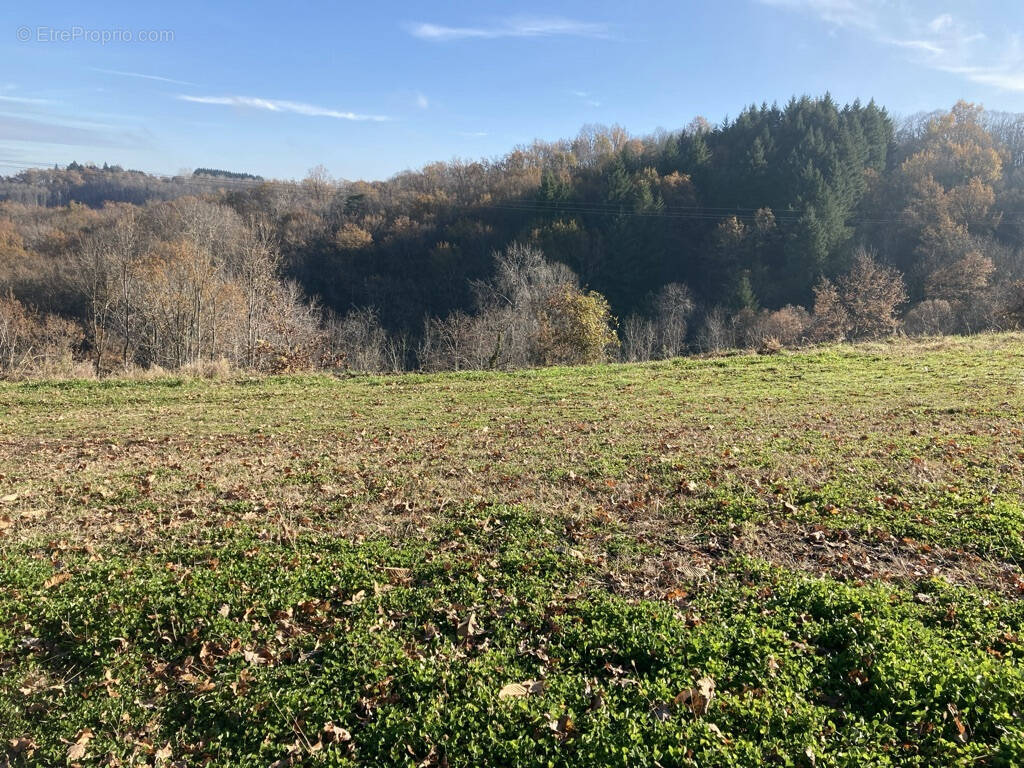Terrain à SAINT-CYPRIEN