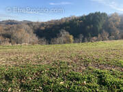 Terrain à SAINT-CYPRIEN