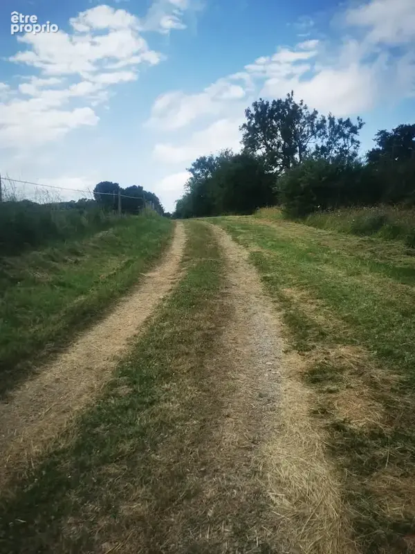 propriété - photo 14