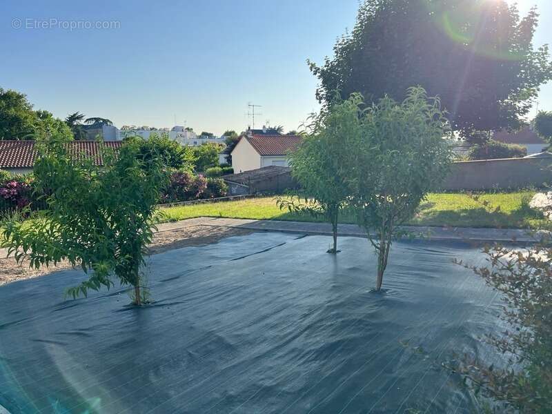 Maison à MORTAGNE-SUR-SEVRE