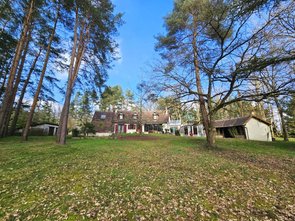 Maison à PRUNIERS-EN-SOLOGNE