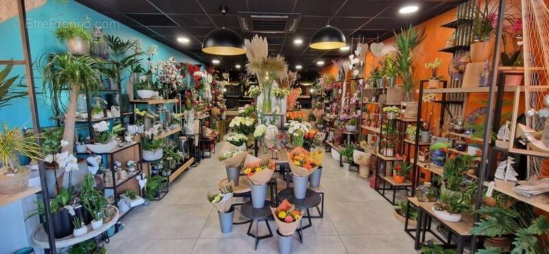 Commerce à COURNON-D'AUVERGNE