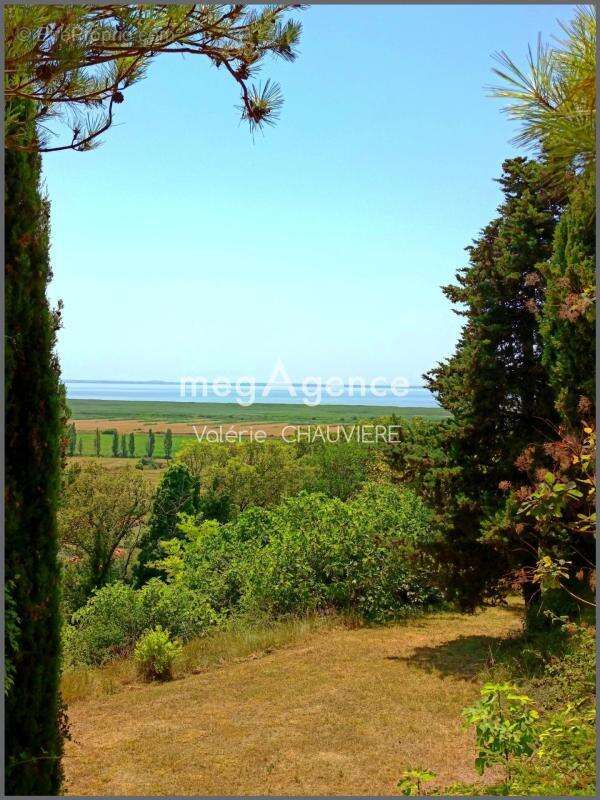 Belle propriété face à l'Estuaire de la Gironde - photo 18