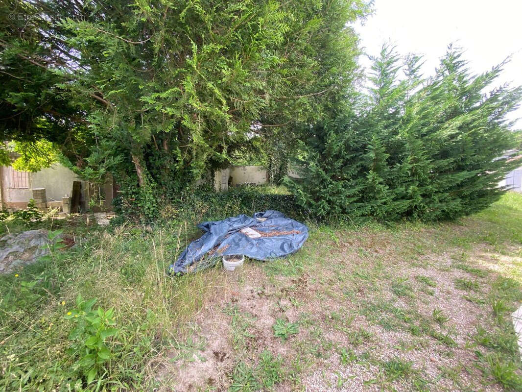 Terrain à MOIGNY-SUR-ECOLE