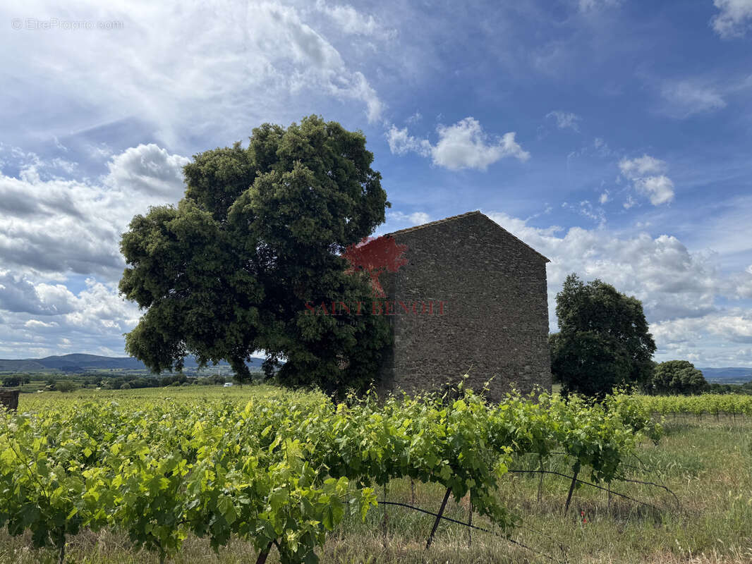 Terrain à LE POUGET