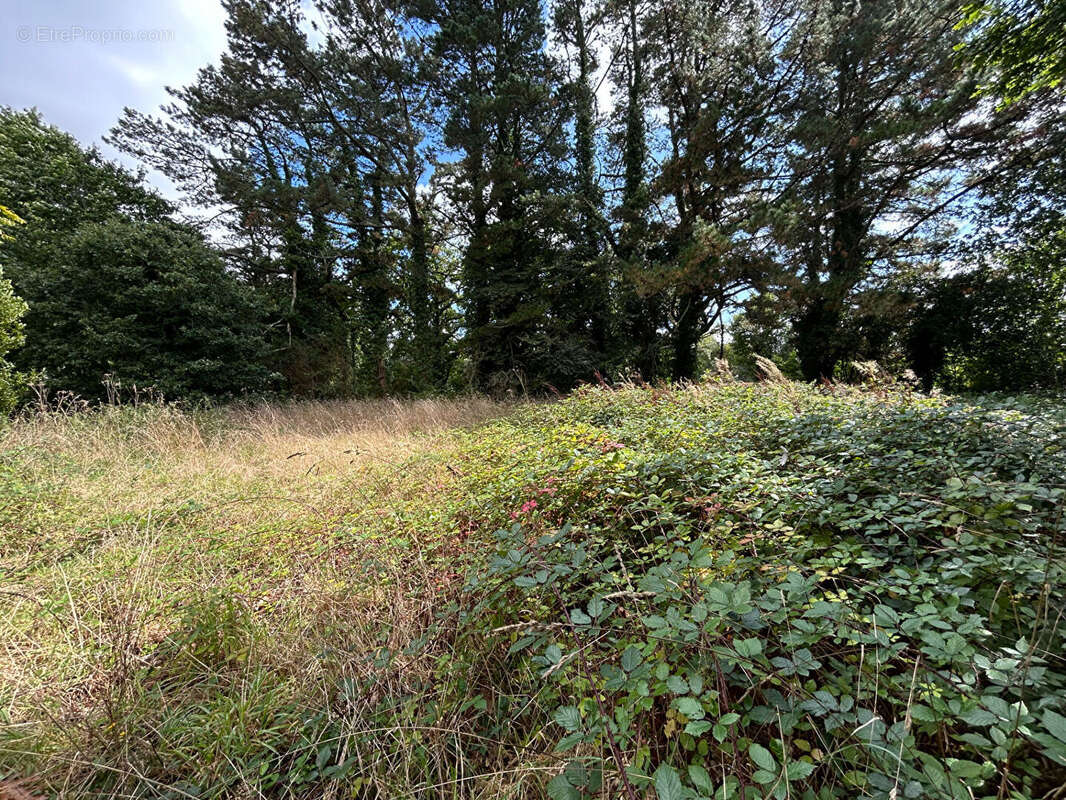 Terrain à SAINT-EVARZEC