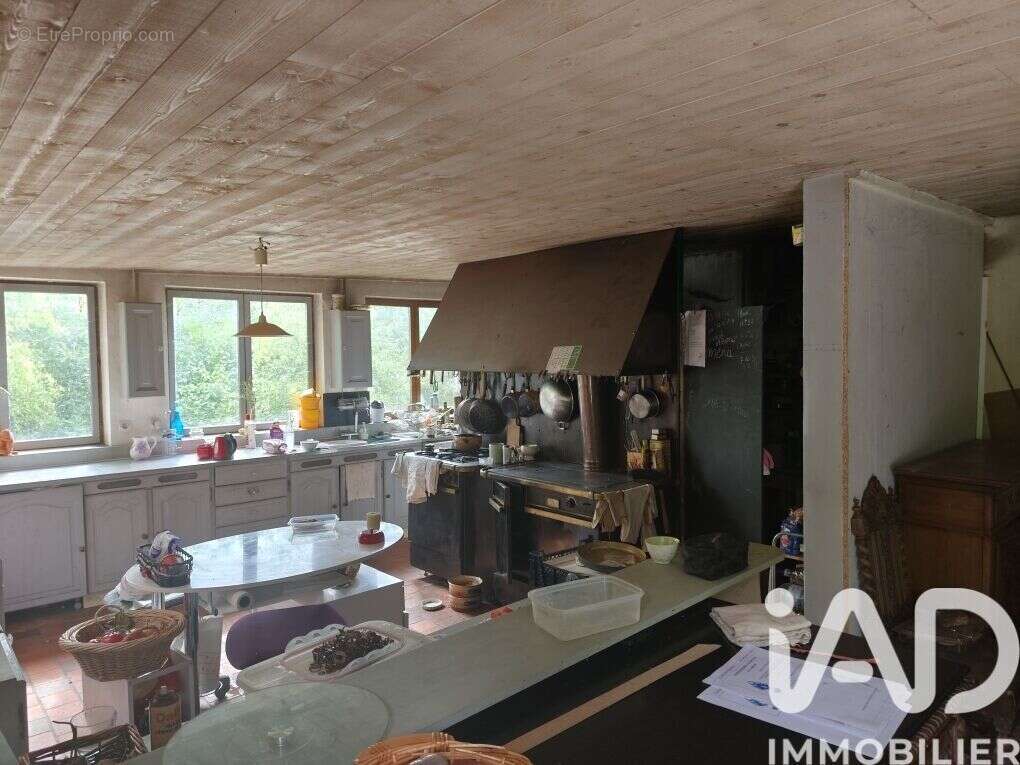 Maison 495 m² à Neuille-Le-Lierre  - photo 5