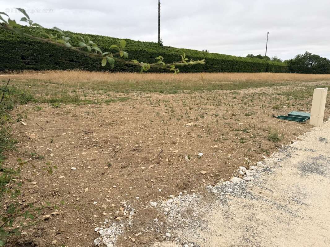 Terrain à MARIGNY