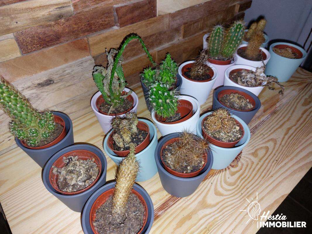 Commerce à CHALONS-EN-CHAMPAGNE