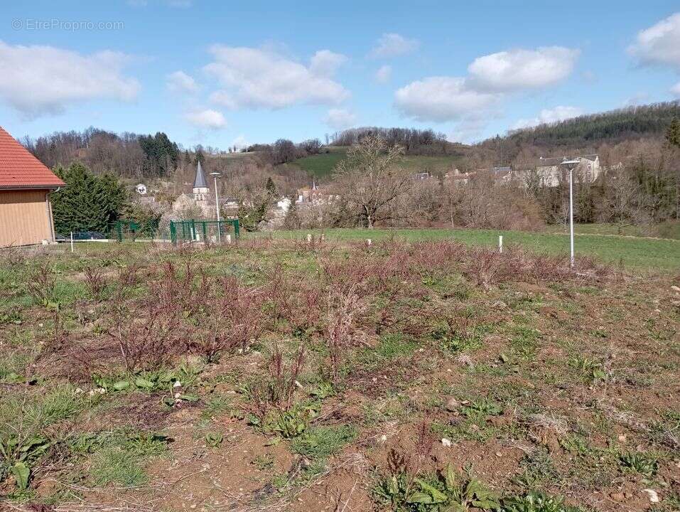 Terrain à FERRIERES-SUR-SICHON