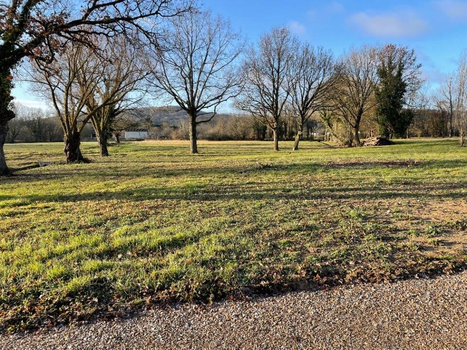 Terrain à VIELMUR-SUR-AGOUT