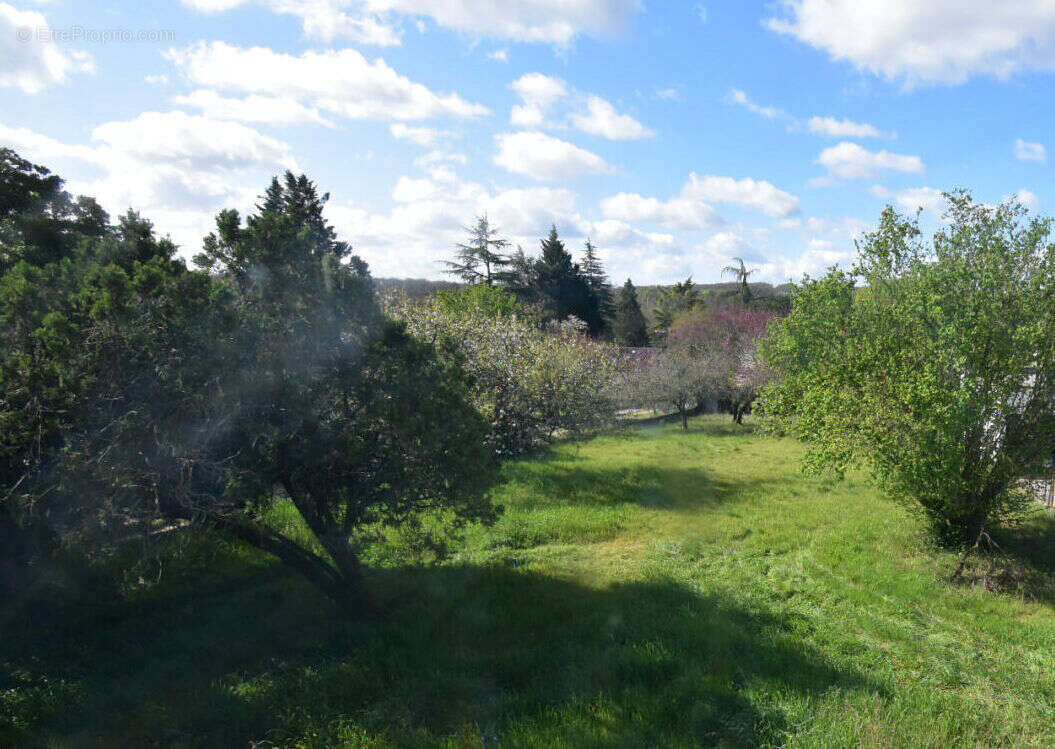 DSC_0023 - Maison à L'ISLE-D'ESPAGNAC