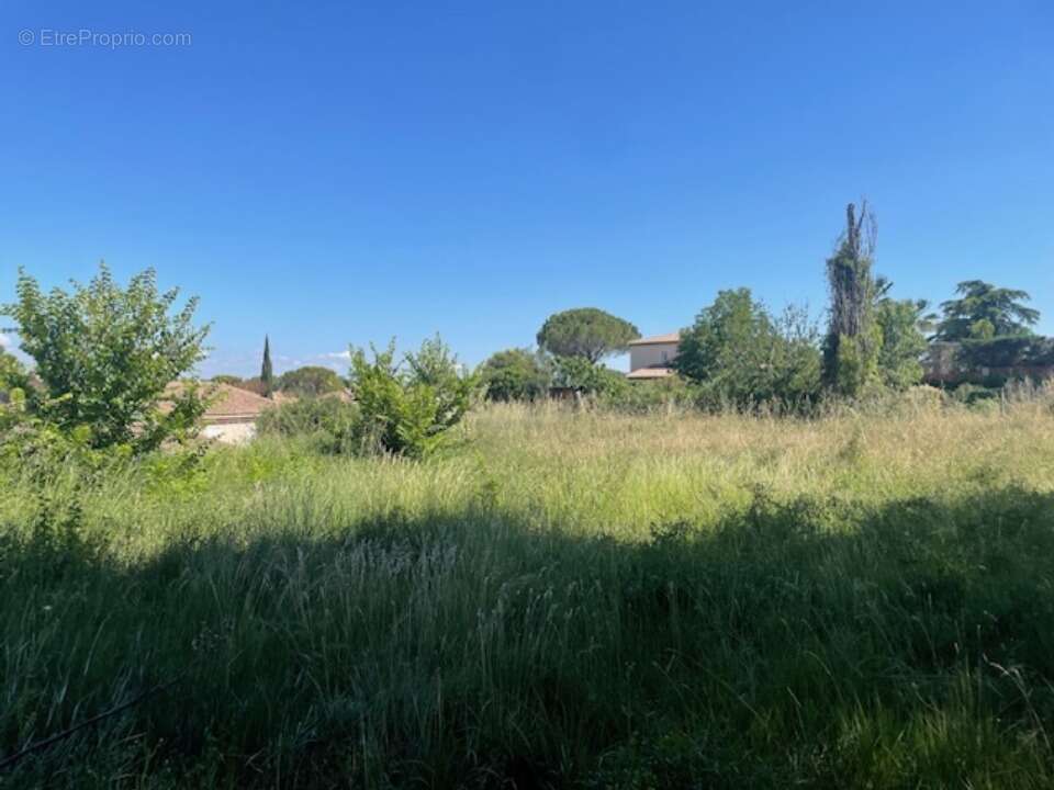 Terrain à PELISSANNE