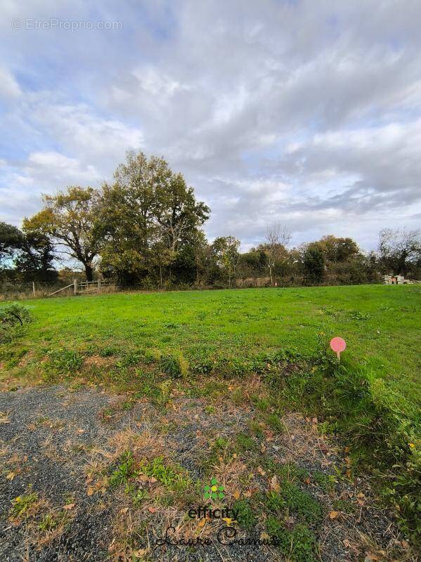 Terrain à TALMONT-SAINT-HILAIRE