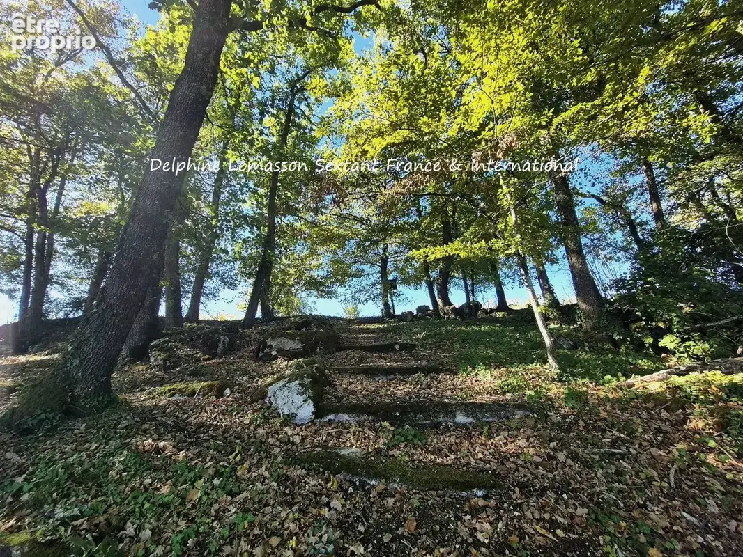 Maison de plain-pied avec Vue panoramique, jardin paysager et Atelier independant - photo 4