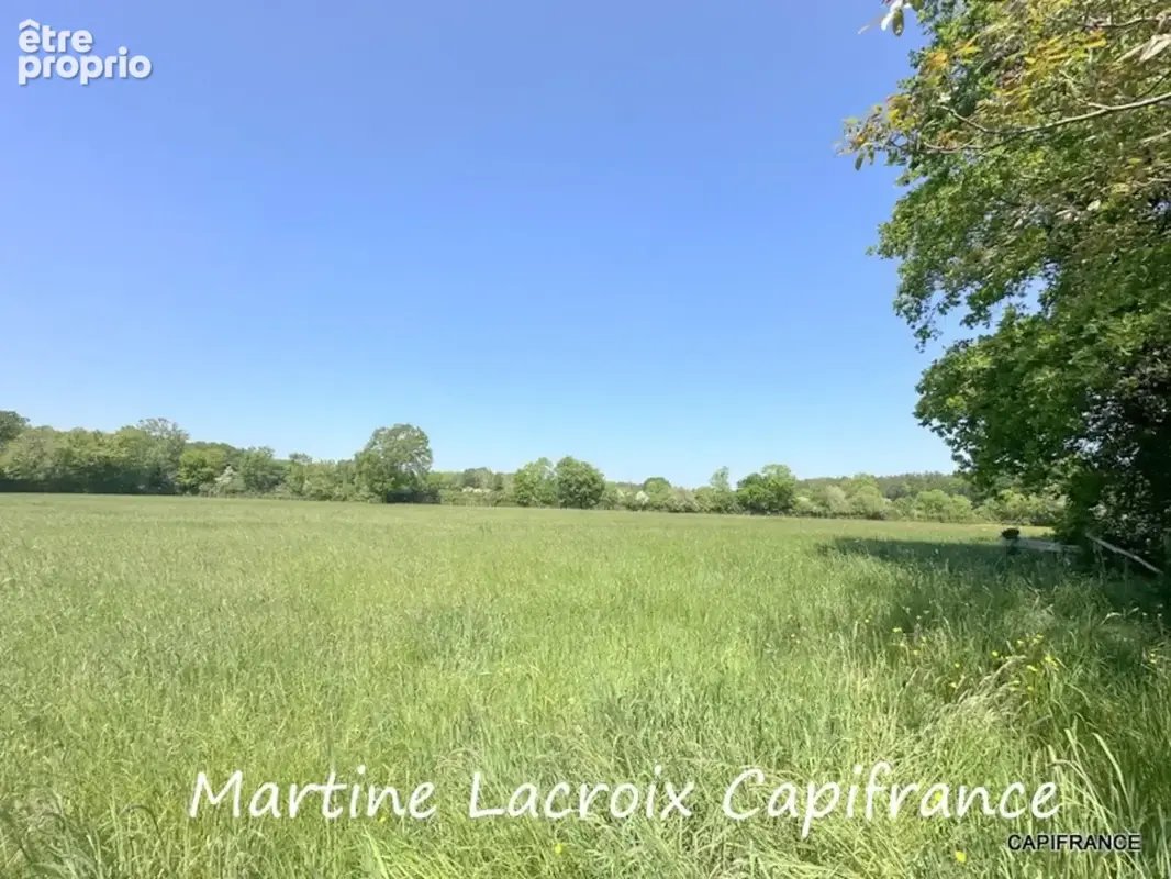 Dpt SARTHE (72), à vendre SAINT GEORGES DU ROSAY - PROPRIÉTÉ  P7 de 163 m² - Terrain de 3,04 Ha - photo 33