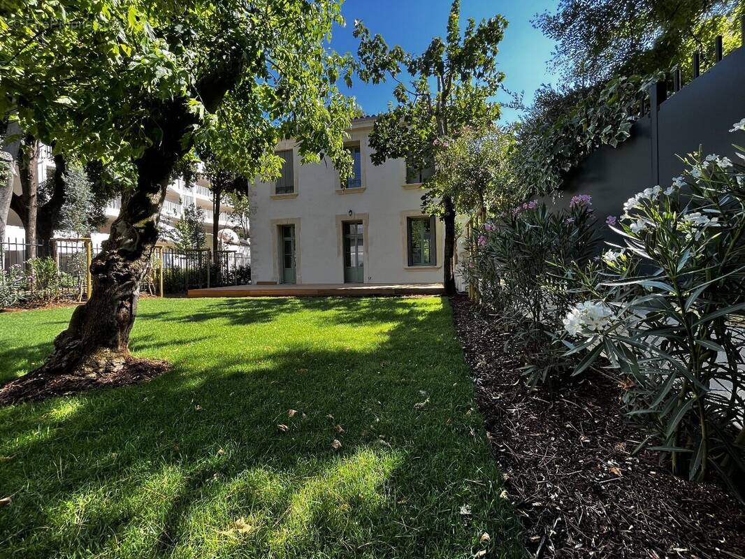 Maison à MONTPELLIER