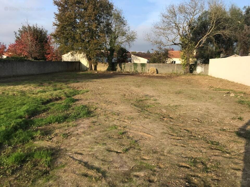 Terrain à COMMEQUIERS