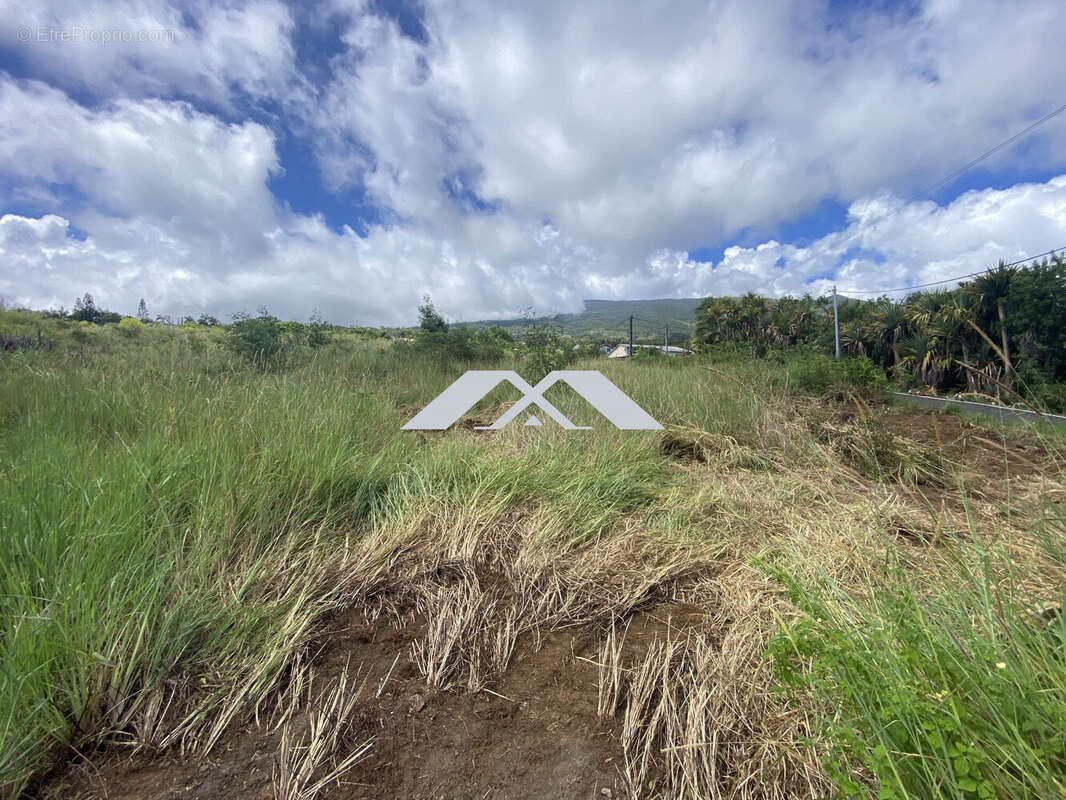 Terrain à SAINT-JOSEPH