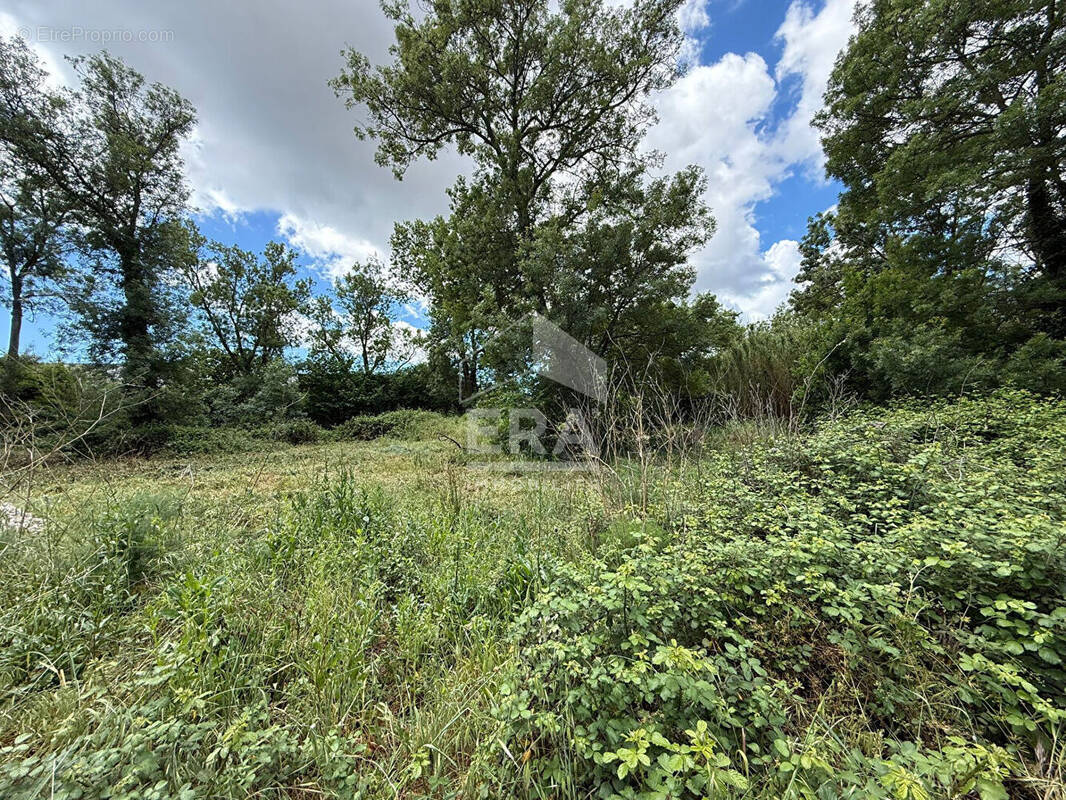 Terrain à LES PENNES-MIRABEAU