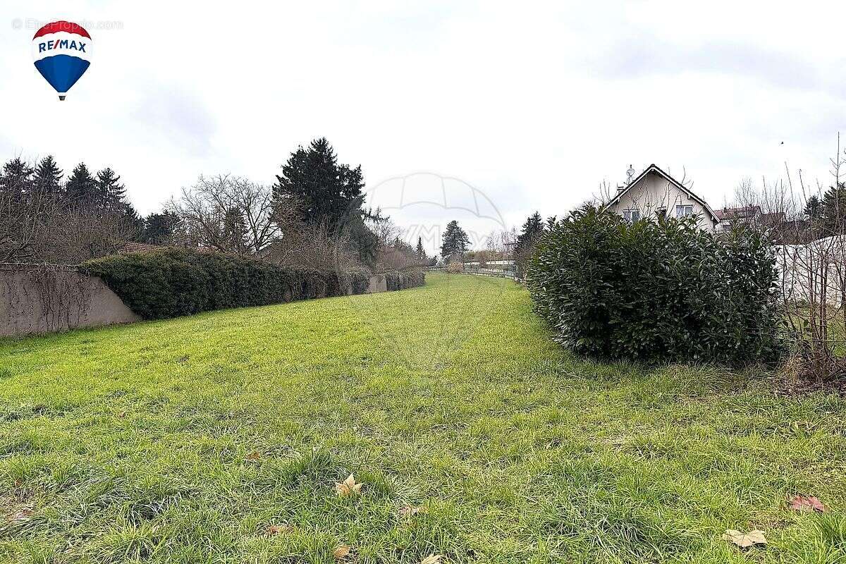 Terrain à HAGENTHAL-LE-BAS