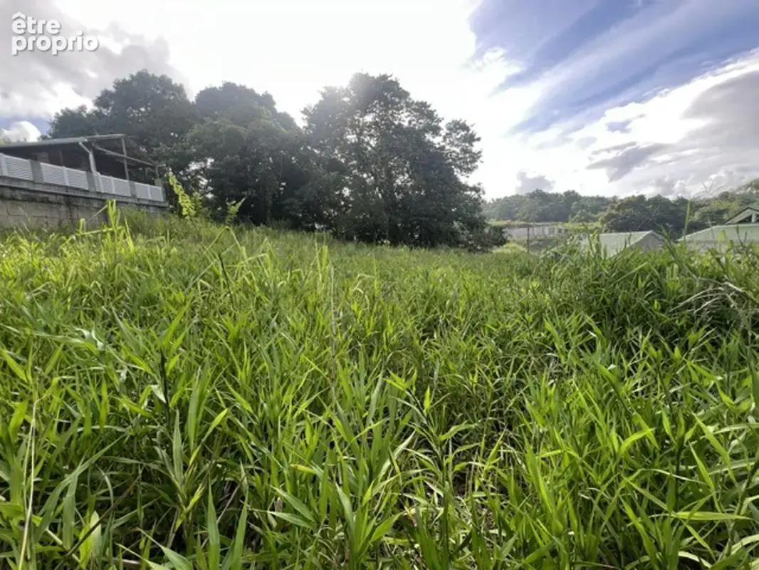 Terrain à DUCOS