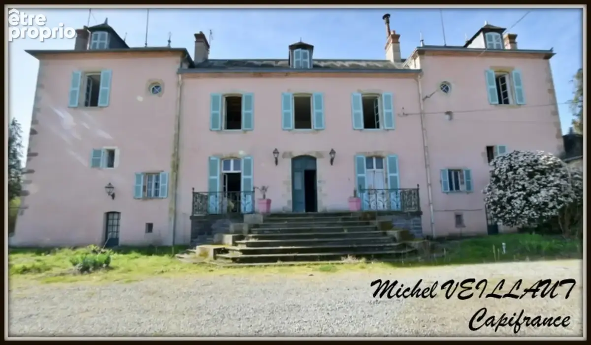 Propriété à vendre avec bâtisse de 15 pièces, 2 gîtes, terrain 7390 m², VILLENEUVE SUR ALLIER (03) - photo 2