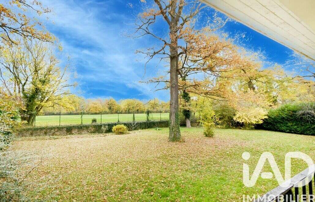 Photo 6 - Maison à ETIOLLES