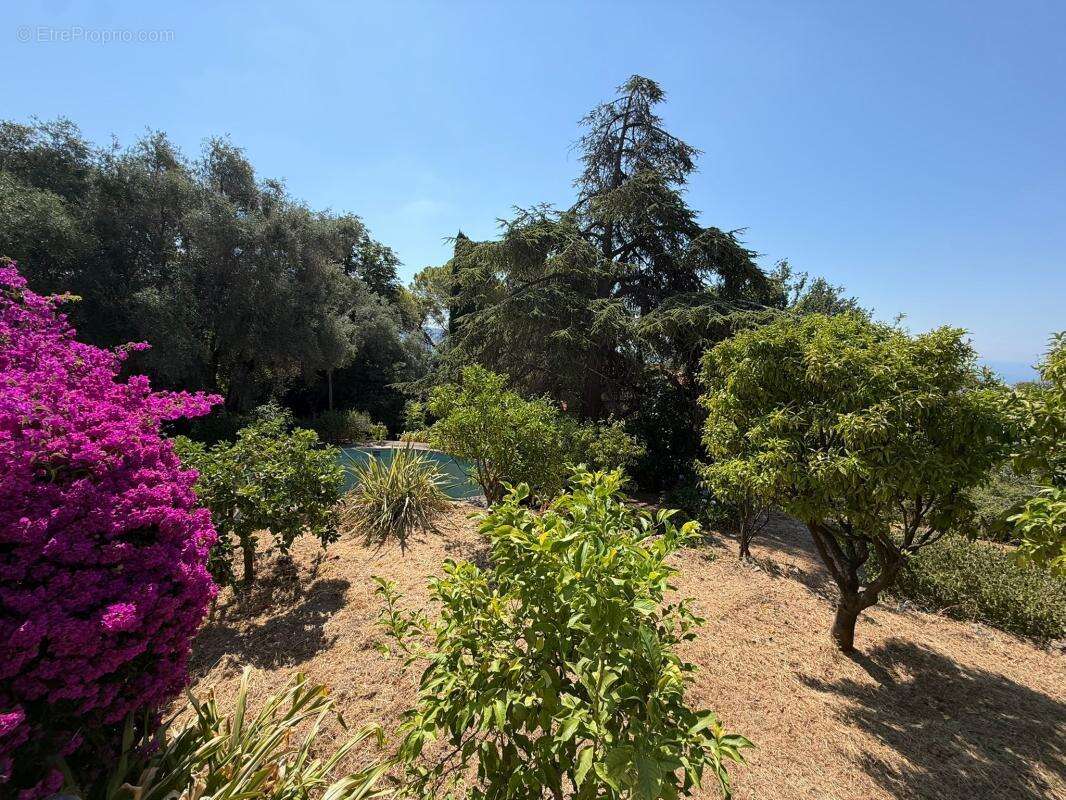 Nice gairaut – villa provençale avec vue mer, piscine, terrain de 2 000 m² et garage de 100 m² - photo 28