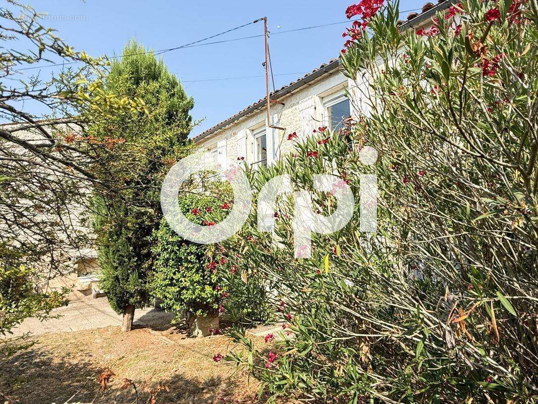 EXCLUSIVITE! Coup de coeur (et de pierre) à ARDILLIERES - photo 15