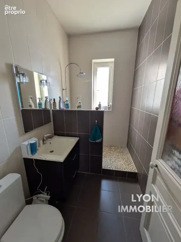 Appartement t3 - secteur montchat - photo 6